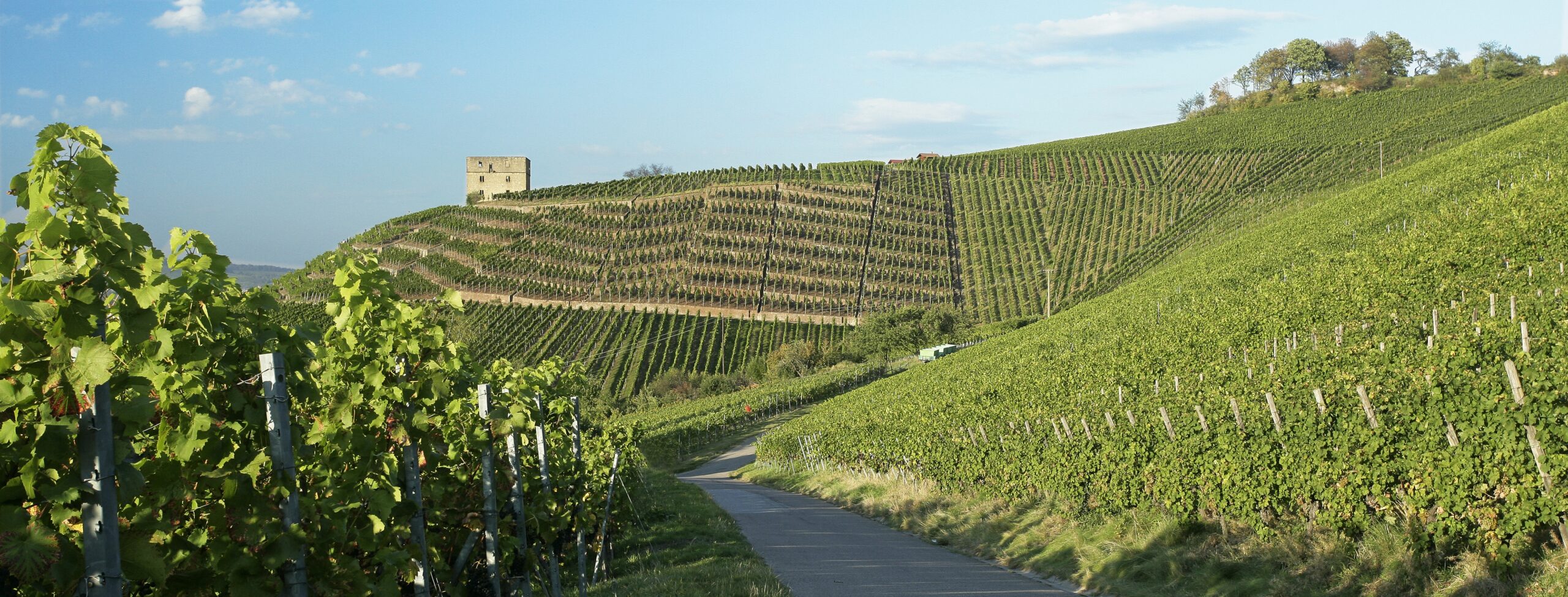 Y-Burg im Remstal