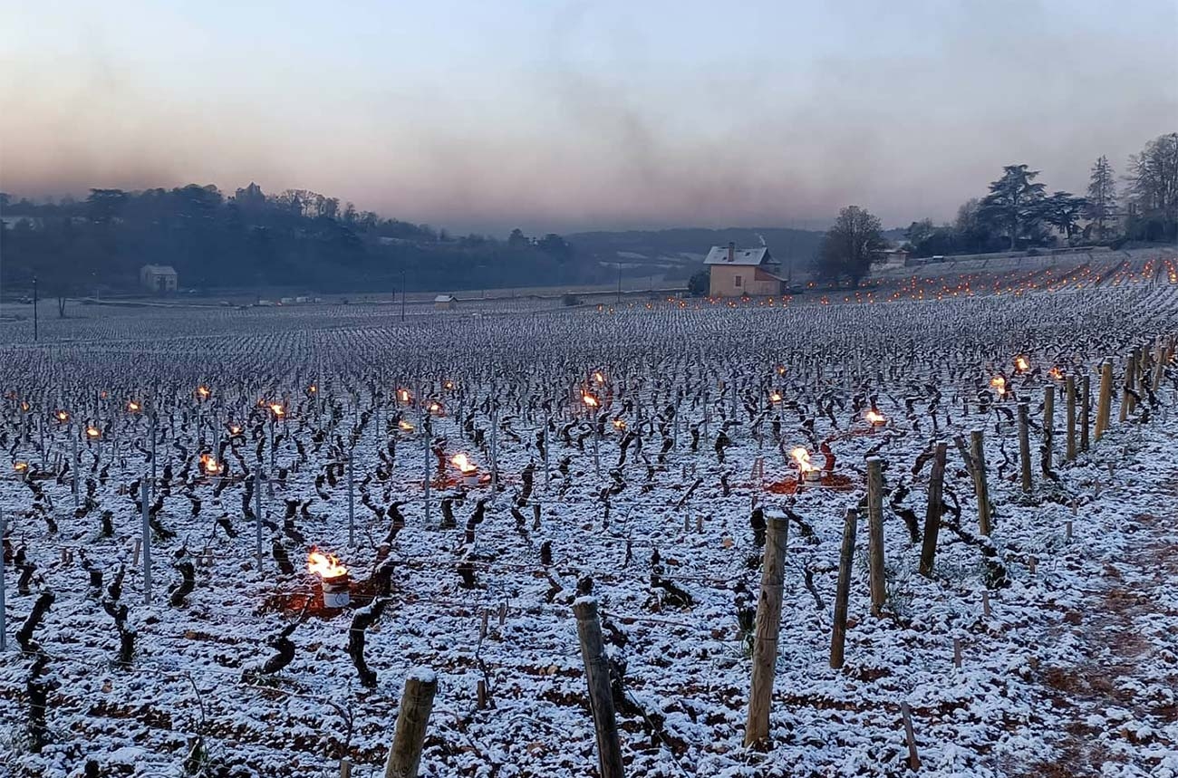 vinifika-winter-wijngaard-vorstbescherming-vuurpot-bourgogne
