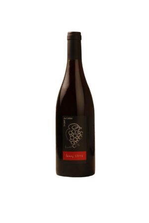 vinifika-product-la-part-du-colibri-gamay-domaine-le-fay-dhomme