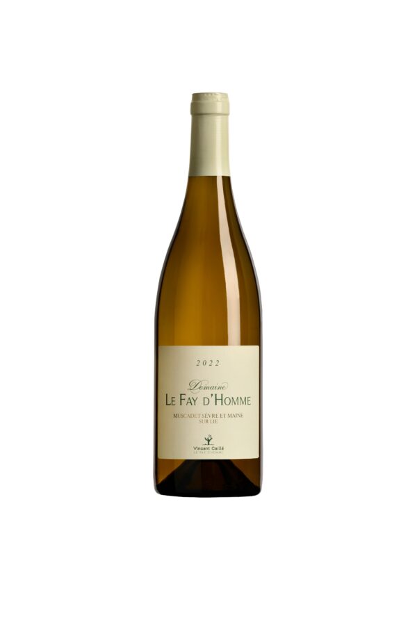 vinifika-product-muscadet-sèvre-et-maine-sur-lie-domaine-le-fay-dhomme